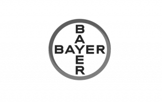 Bayer
