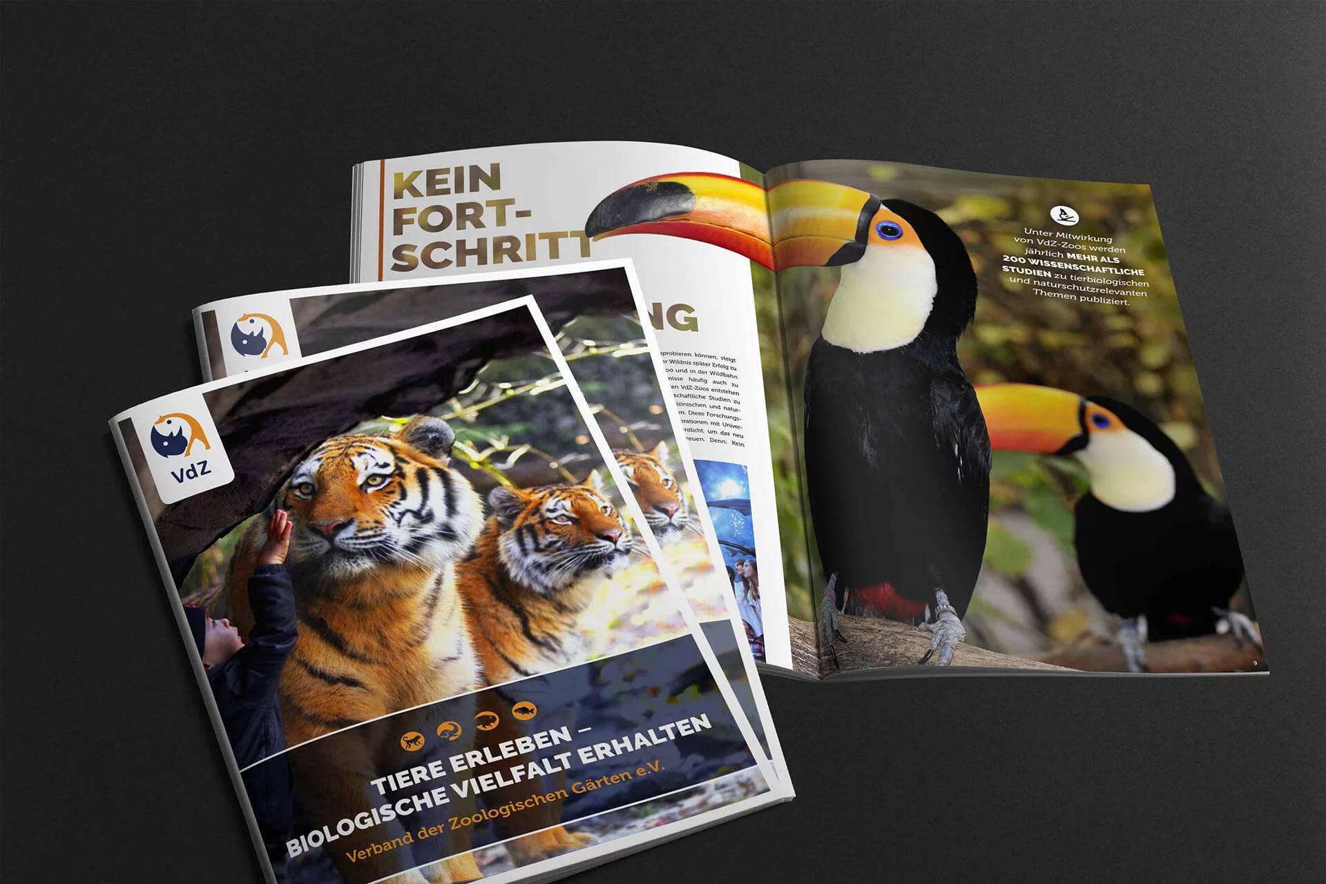 Full-Service-Agentur