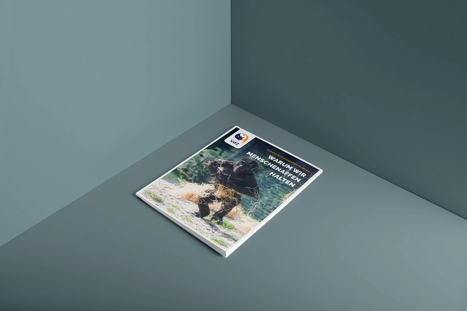 zoo–affe–01-softcover-portrait-brochure