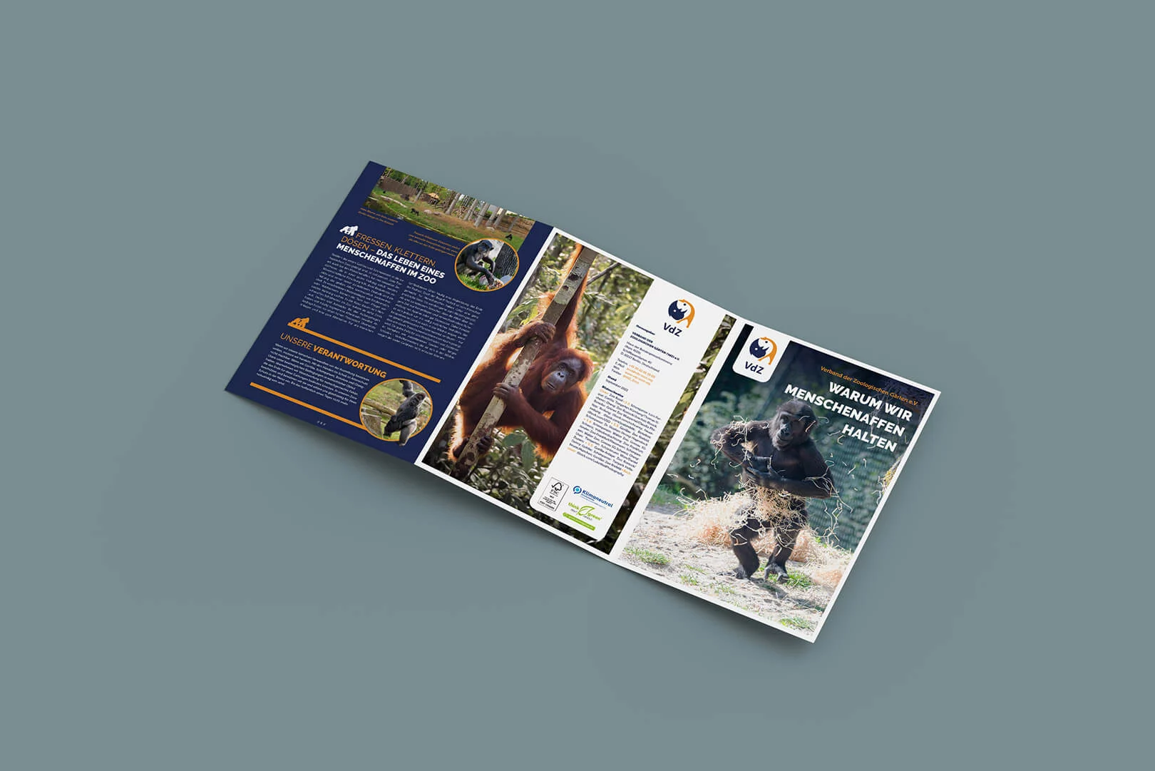zoo-affe-02-flyer-a4
