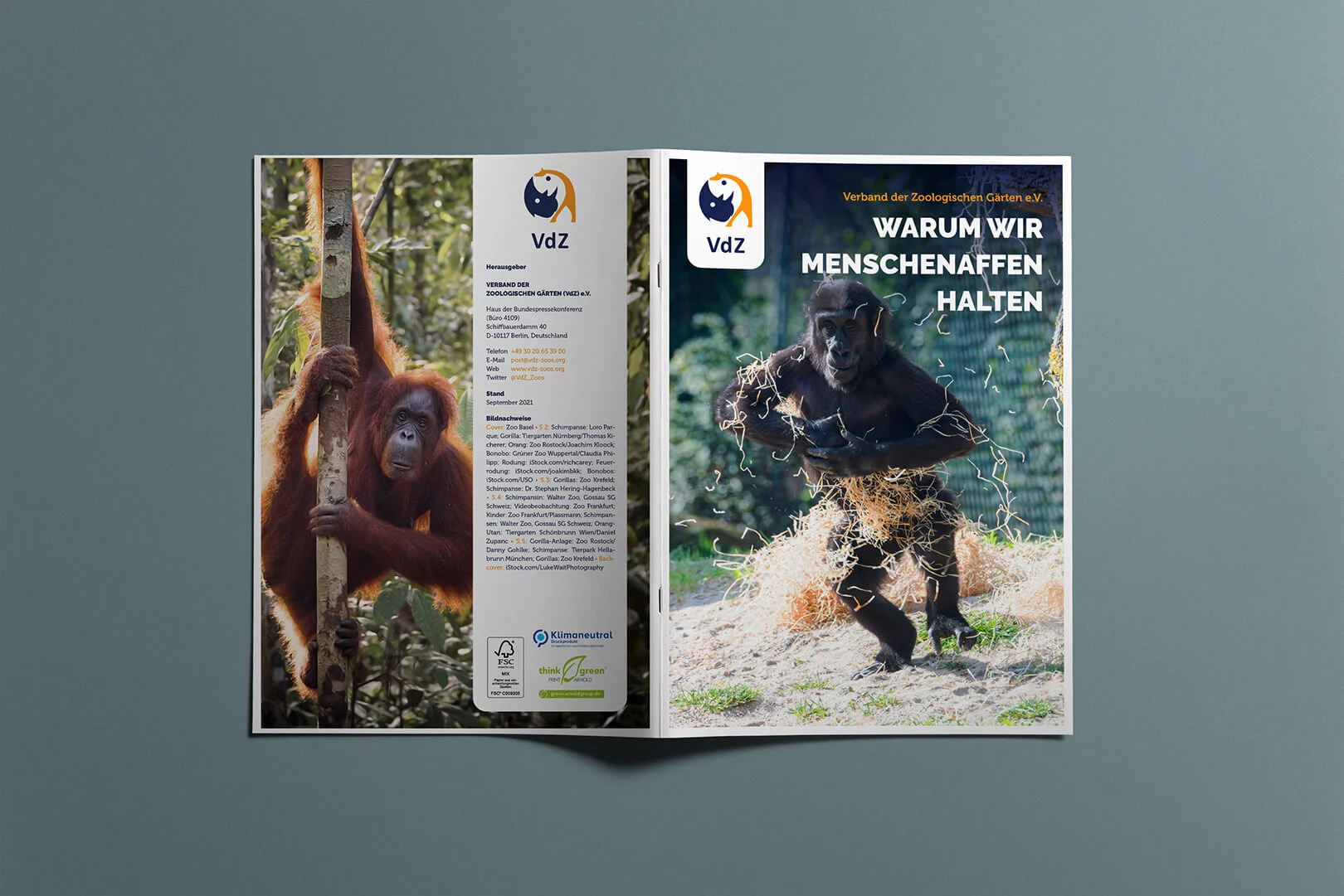 zoo–affe–05-brochure-a4-vert