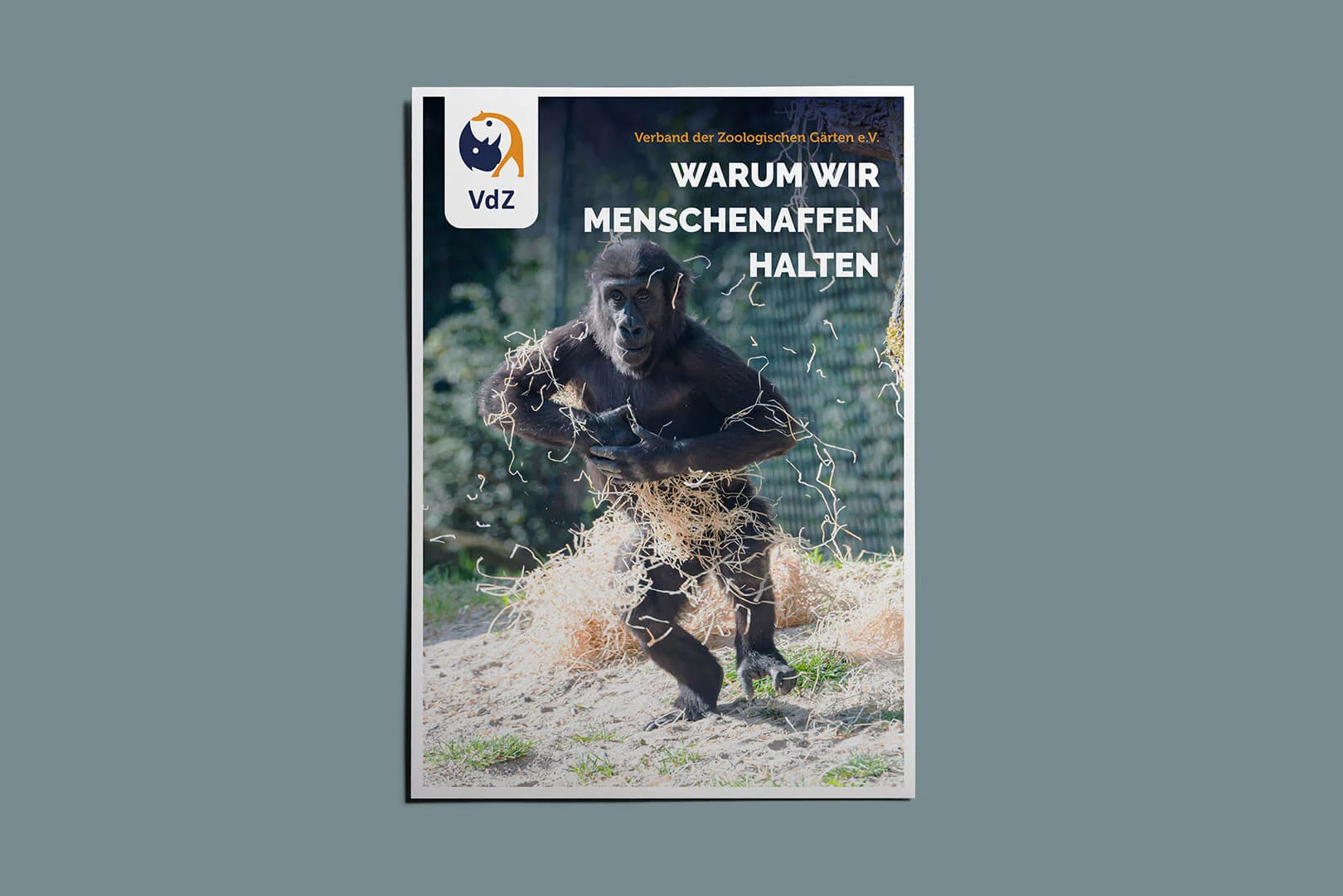 zoo-affe–05-flyer-a4