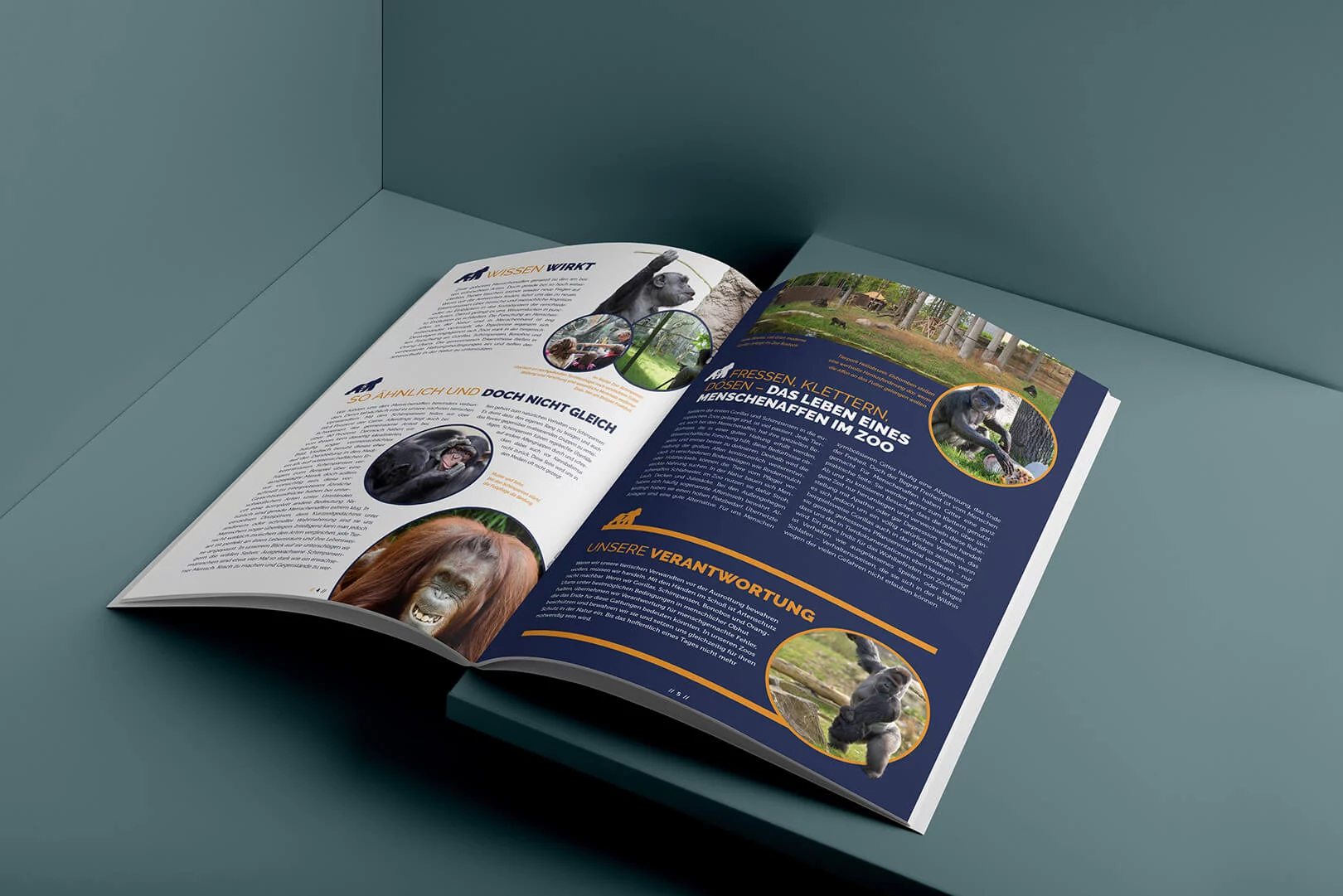 zoo–affe–08-softcover-portrait-brochure