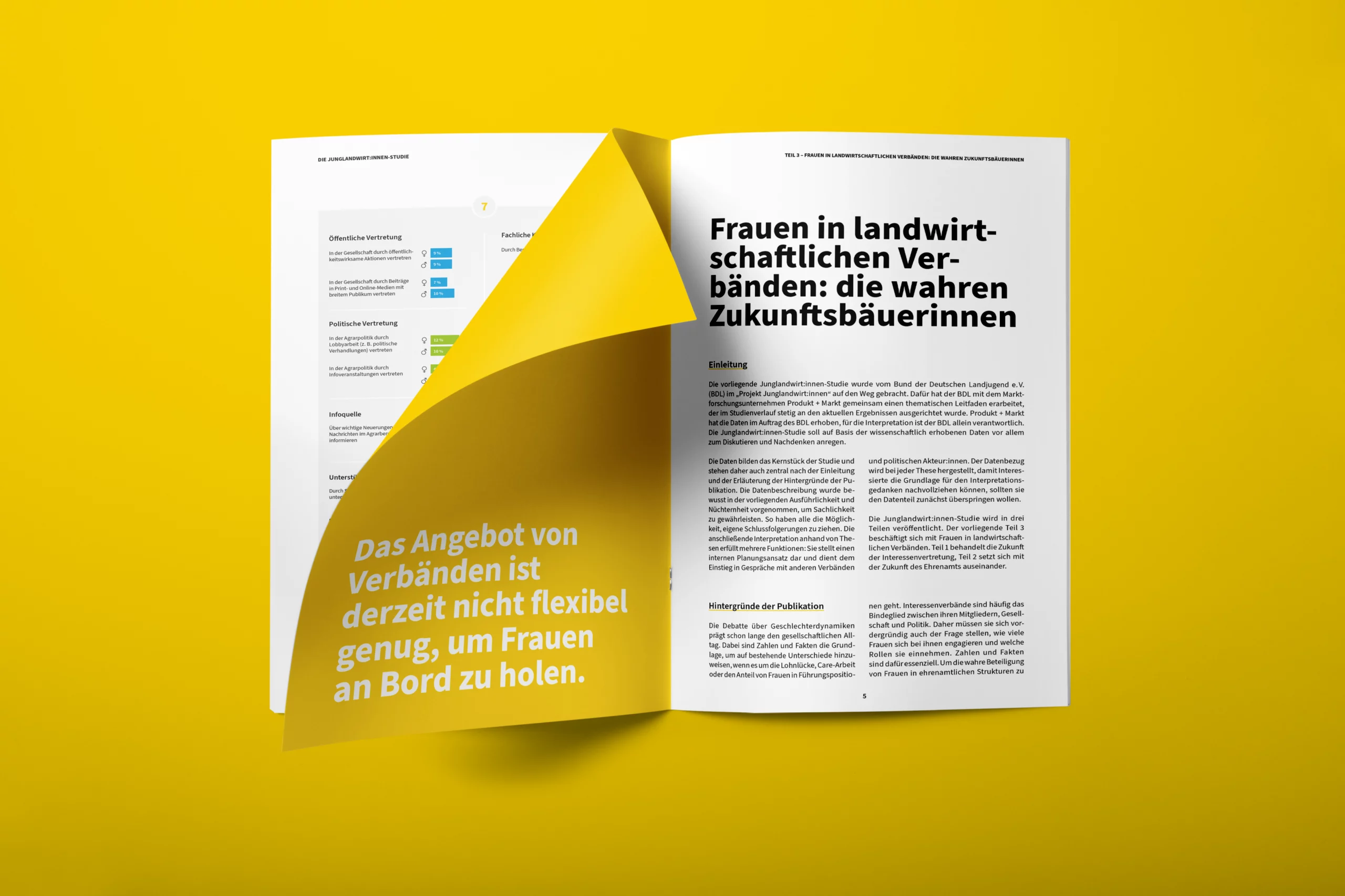 BDDL-Jungland-Teil3–02