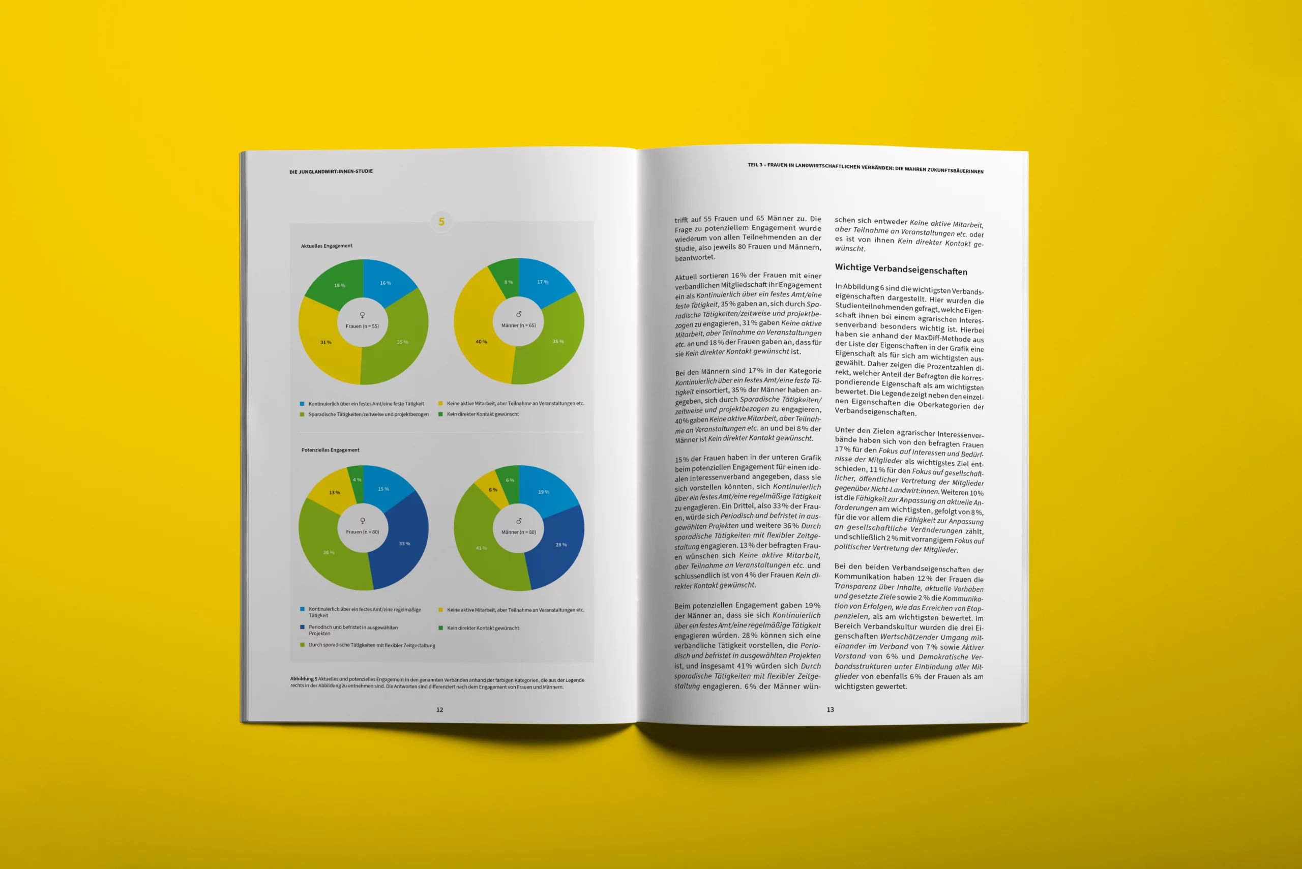 BDDL-Jungland-Teil3–03